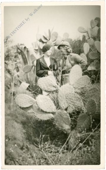sidi bou said, ansicht sidi bou said, ansicht