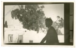 sidi bou said, ansicht