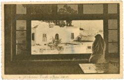 sidi bou said, ansicht