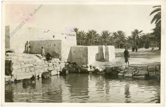gabes, oase gabes, oase