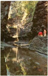 new york, watkins glen, the vista