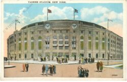new york, new york city, yankee stadium