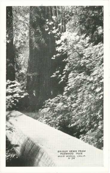 kalifornien, muir woods, bridge hewn from redwood tree