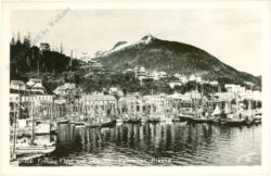 alaska, mount ketchikan