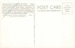 kalifornien, muir woods, entrance