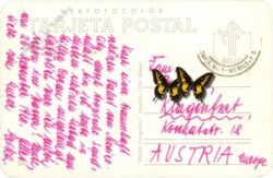 blaja caieta, ansicht