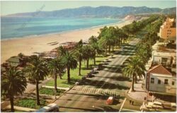kalifornien, santa monica, pacific palisades park