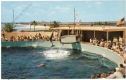 florida, miami, aquarium
