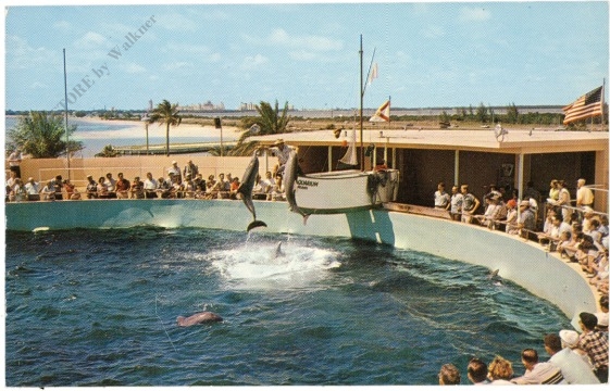 florida, miami, aquarium florida, miami, aquarium