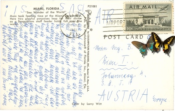 florida, miami, aquarium