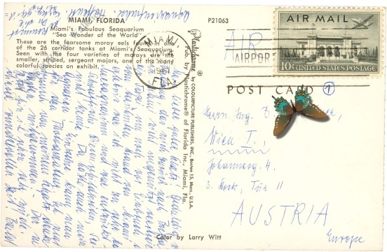 florida, miami, aquarium