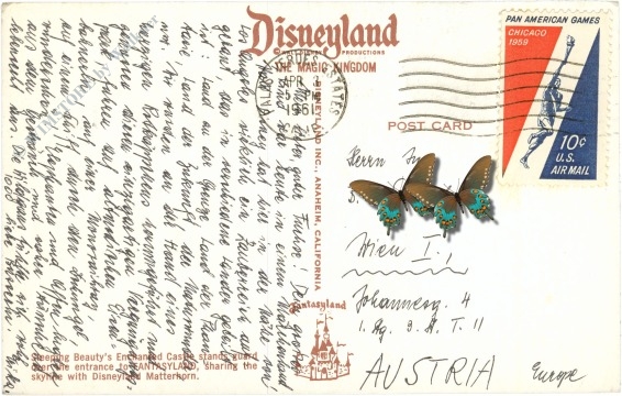 kalifornien, anaheim, disneyland