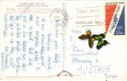 florida, miami, aquarium, whale show