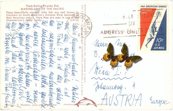 florida, miami, aquarium