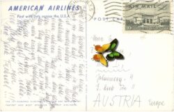 the jet american airlines