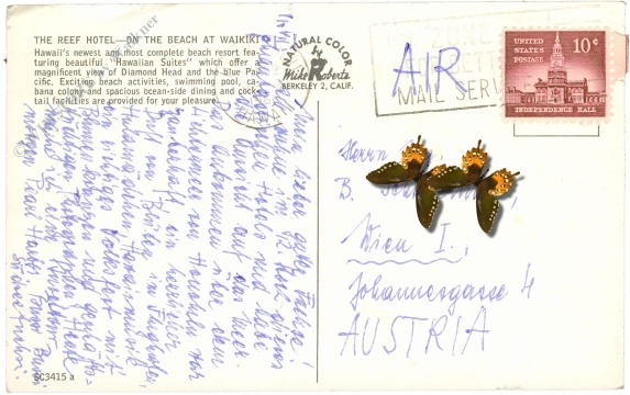 hawaii, honolulu, waikiki beach