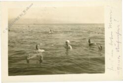 familie badet im meer familie badet im meer