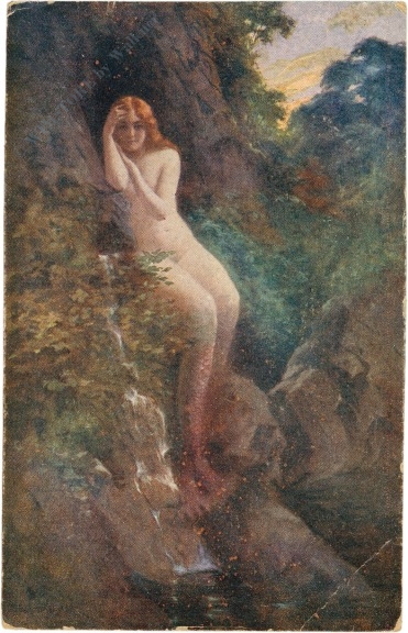 frau in der natur frau in der natur