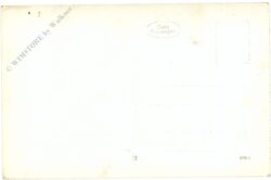 männerportrait männerportrait