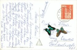 samnaun, muttler, hotel silvretta, sonnenterrasse