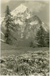 cortina d'ampezzo, l'antelao