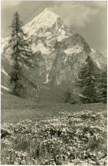 cortina d'ampezzo, l'antelao