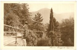 meran (merano), tappeiner
