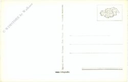 bozen (bolzano), ansicht