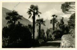 meran (merano), tappeiner weg