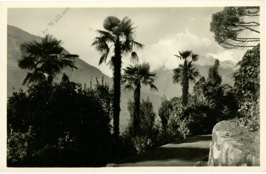 meran (merano), tappeiner weg