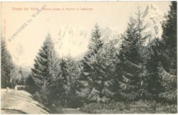 strada del rolle, motive presso s. martino di castrozza