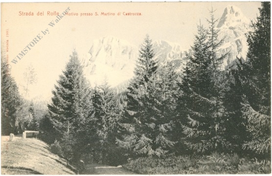 strada del rolle, motive presso s. martino di castrozza