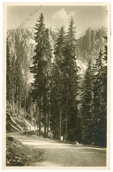 dolomiti, strada