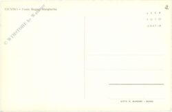 treviso, ponte regina margherita