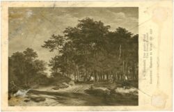 ruisdael, j.v.: der große wald