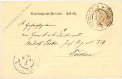 neujahr zwei feiernde