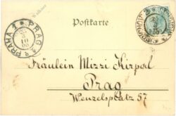 neujahr dame mit schwein, marienkäfer