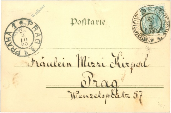 neujahr dame mit schwein, marienkäfer