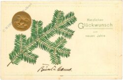 neujahr mondmünze mit zweig
