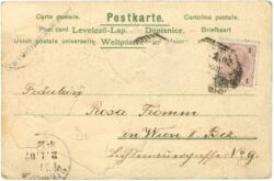 neujahr mädchen füttert vögel