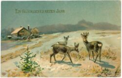 neujahr rehe im schnee