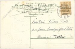 neujahr 1906 pilze