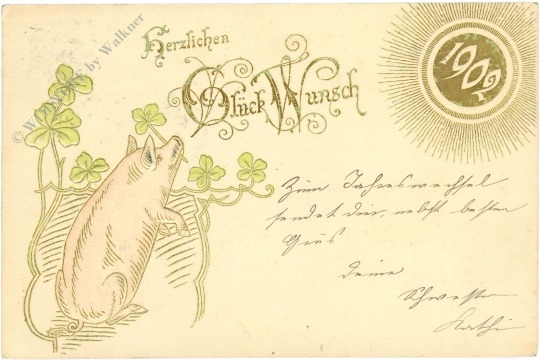 neujahr 1902 glückschwein