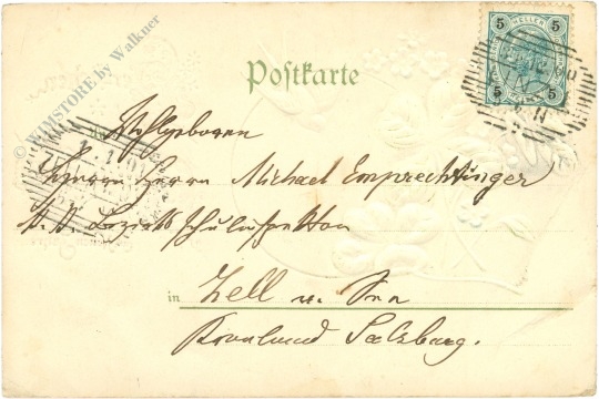 neujahr taube und klee