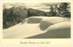 neujahr verschneite landschaft