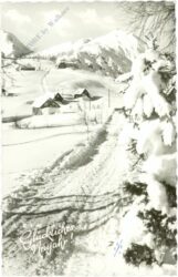 neujahr verschneiter weg
