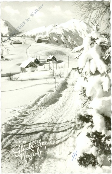 neujahr verschneiter weg