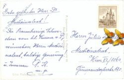 neujahr verschneiter weg