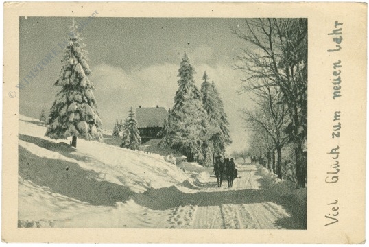 neujahr verschneiter weg