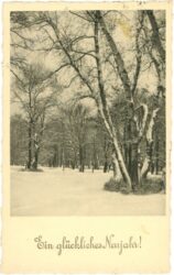 neujahr verschneiter wald